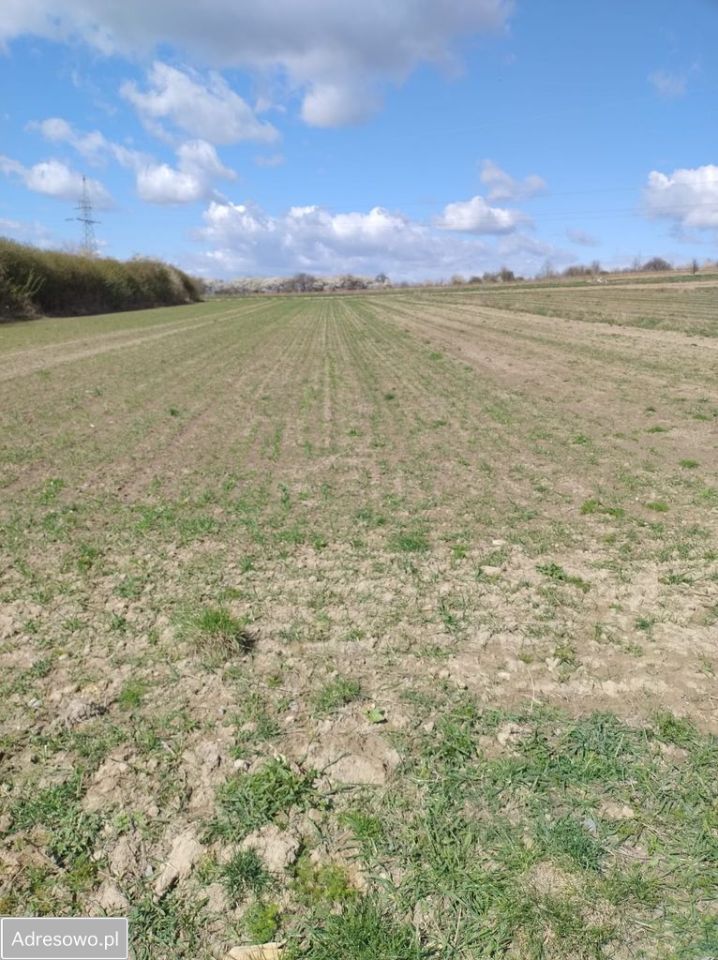 Działka budowlana Majdan Nepryski. Zdjęcie 3