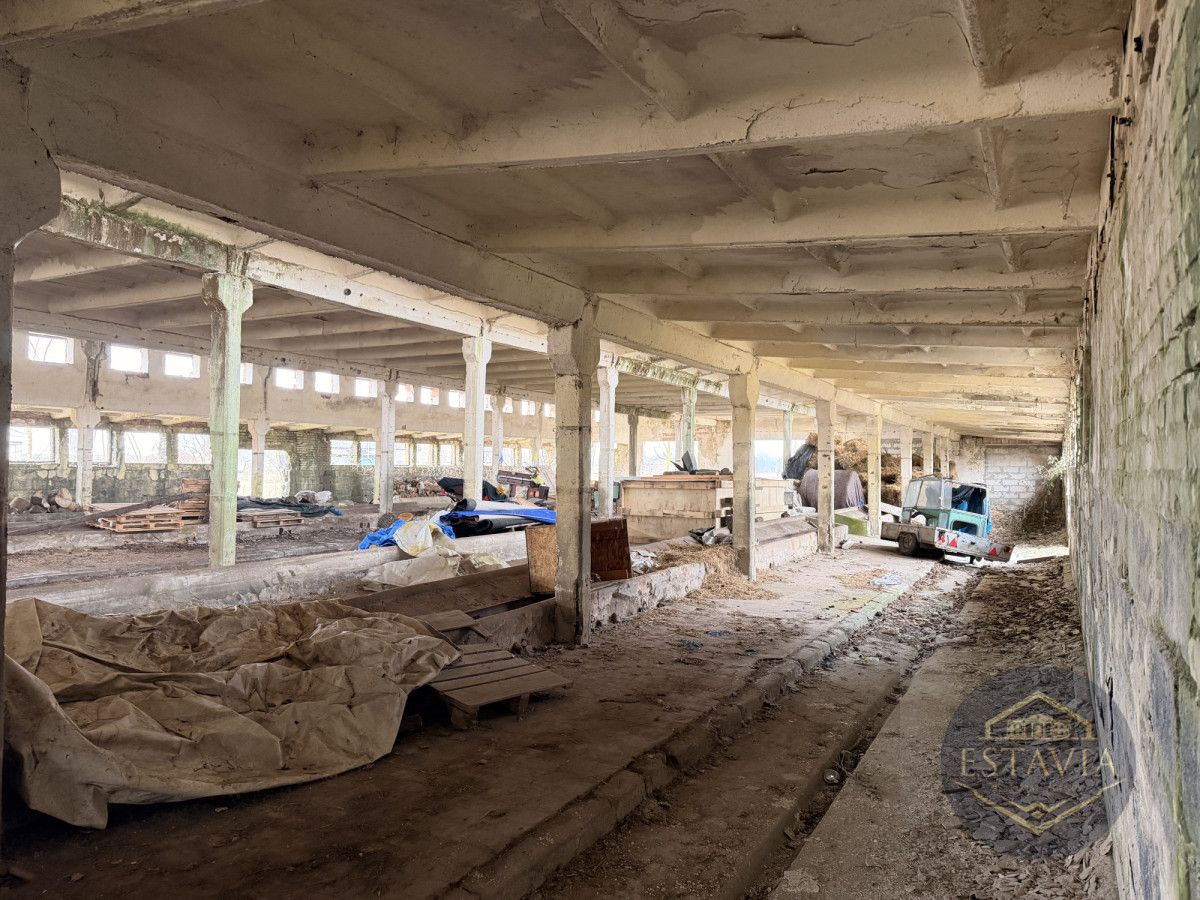 Działka inwestycyjna Węgorzyce. Zdjęcie 9