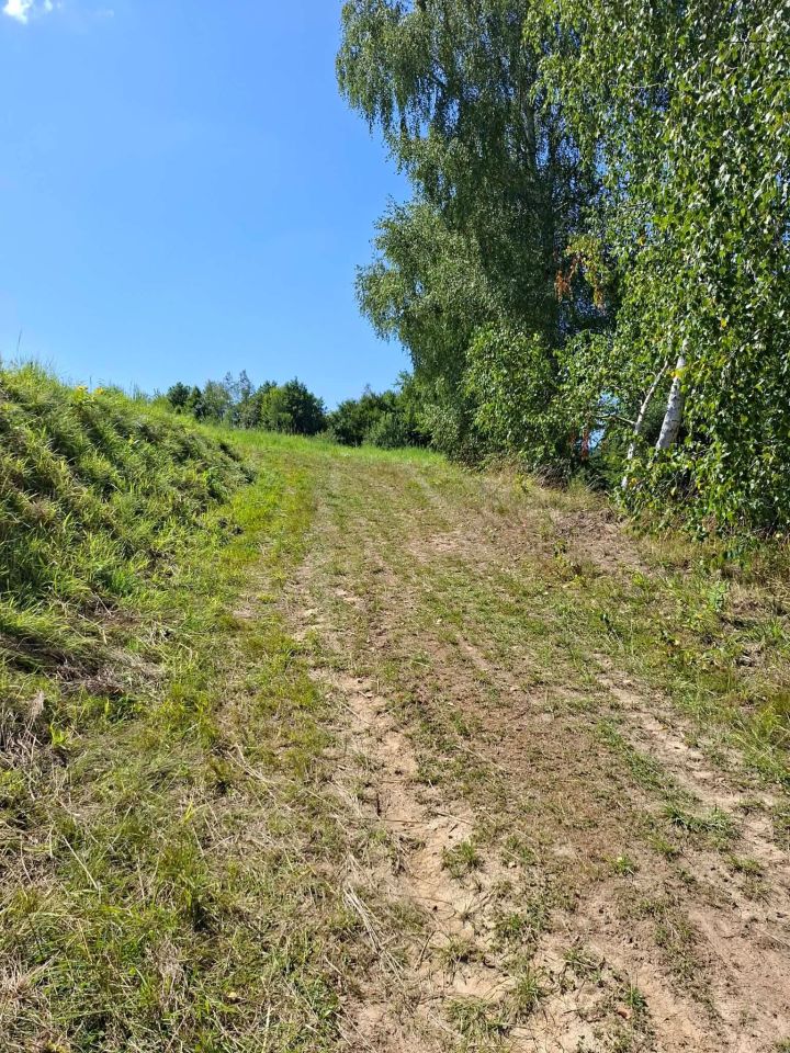 Działka rolno-budowlana Glinik Zaborowski. Zdjęcie 5