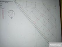 Działka rolna Czarne. Zdjęcie 1