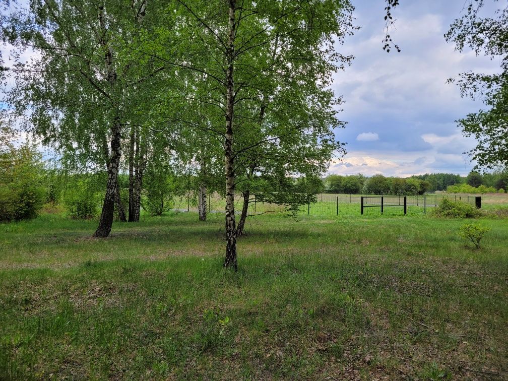 Działka budowlana Piotrków Trybunalski, ul. Kacza