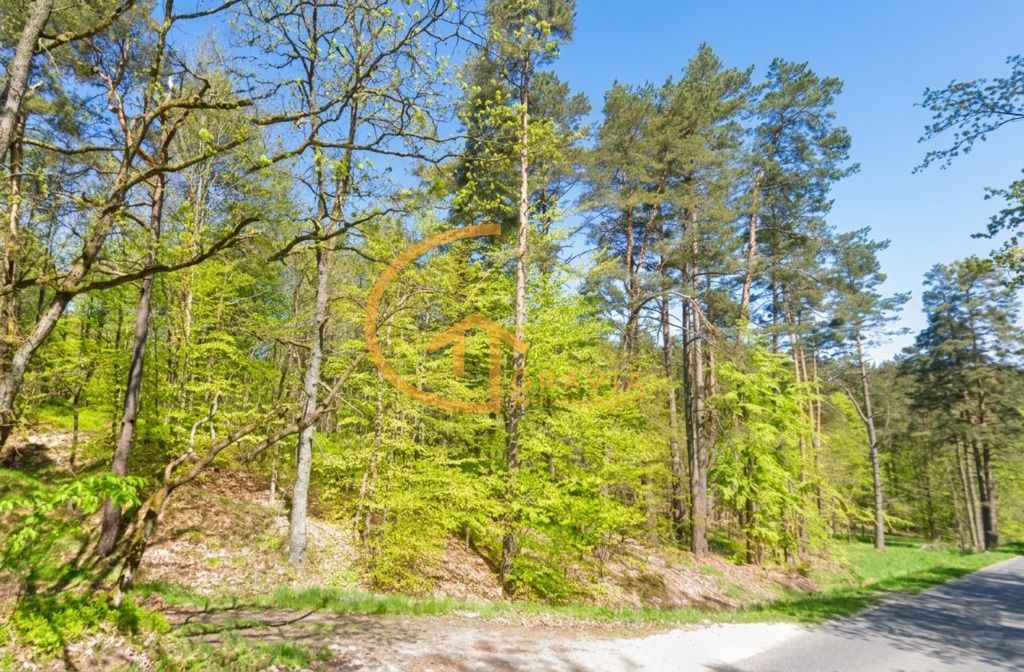 Działka leśna Linia, ul. Długa. Zdjęcie 5