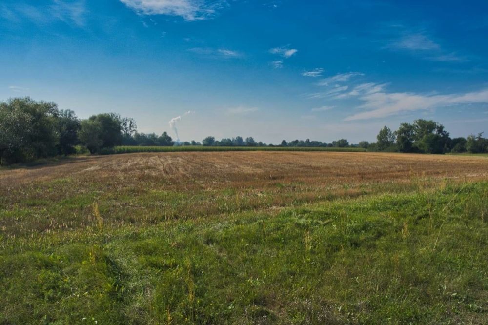 Działka rolna Kobylnica. Zdjęcie 6