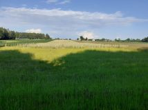 Działka budowlana Teodorów. Zdjęcie 1