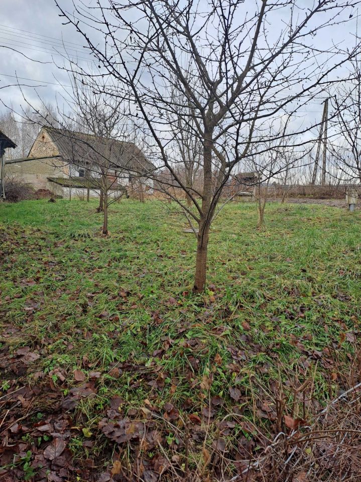 Działka budowlana Piórków. Zdjęcie 3