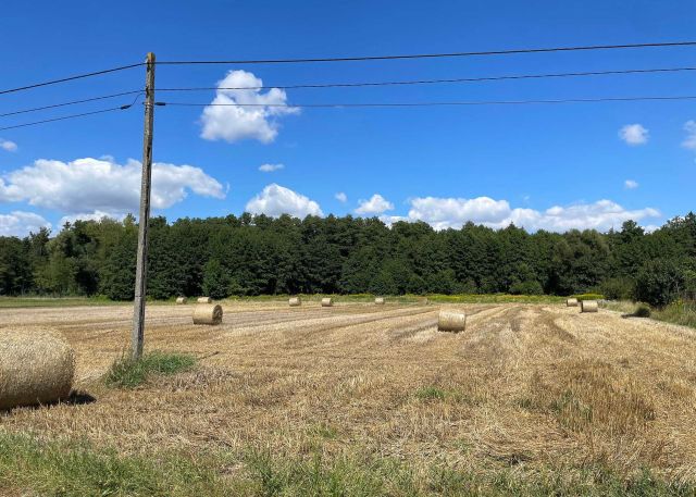 Działka rolno-budowlana Borowiczki-Pieńki, ul. Międzylas. Zdjęcie 1