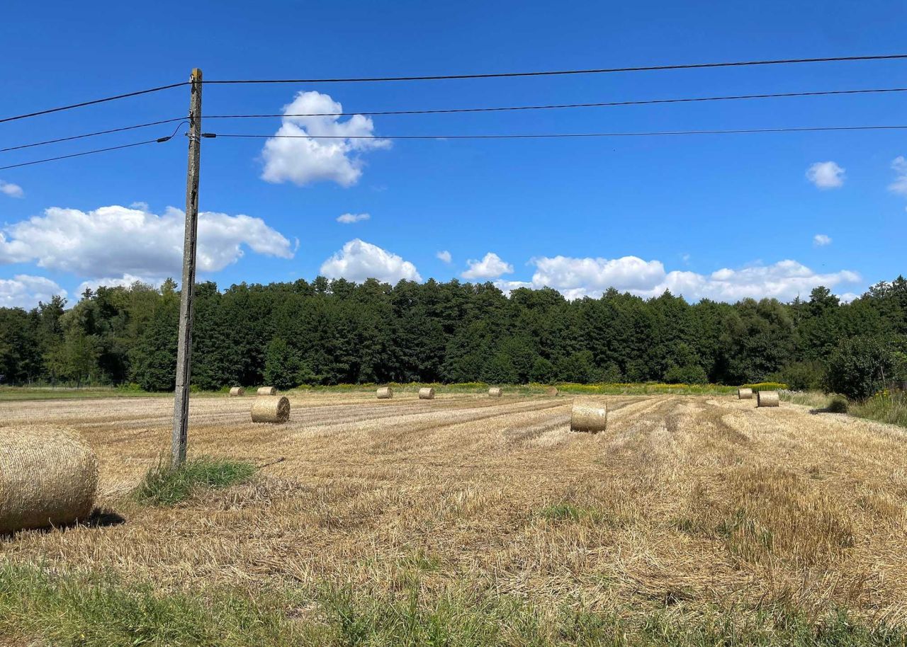 Działka rolno-budowlana Borowiczki-Pieńki, ul. Międzylas