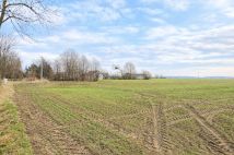 Działka rolna Cisy, Cisy. Zdjęcie 1