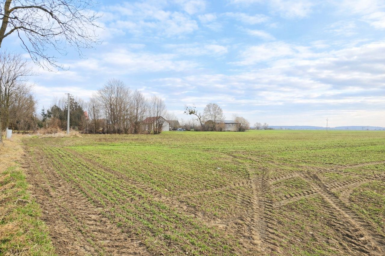 Działka rolna Cisy, Cisy. Zdjęcie 2