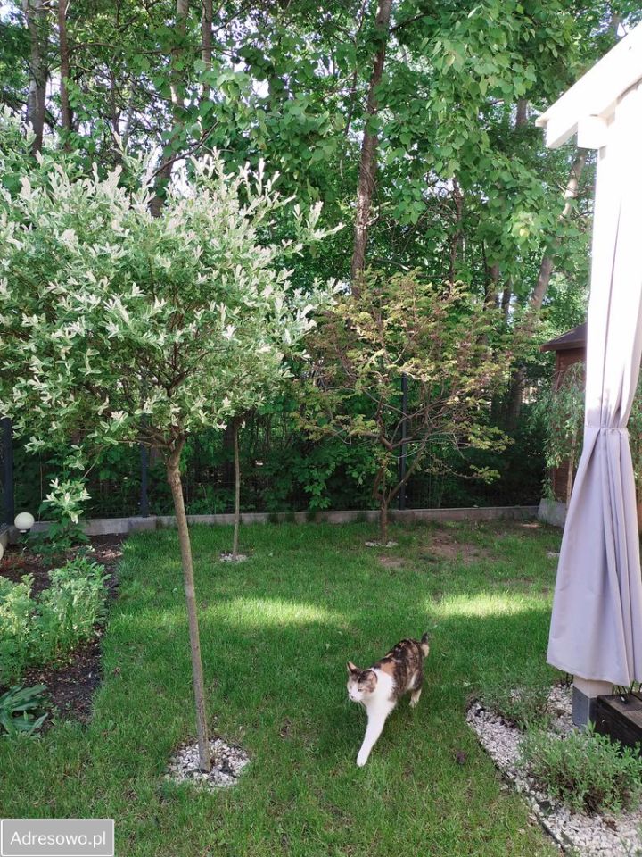 Mieszkanie 3-pokojowe Marki, ul. Sowia. Zdjęcie 16