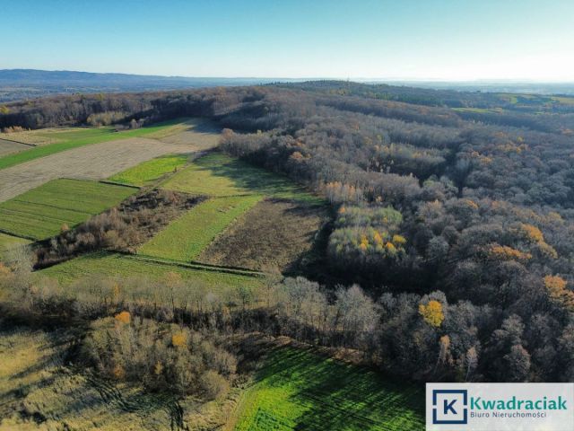Działka rolna Podniebyle. Zdjęcie 3