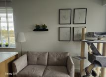 Mieszkanie 2-pokojowe Bydgoszcz Fordon, ul. Fordońska. Zdjęcie 2