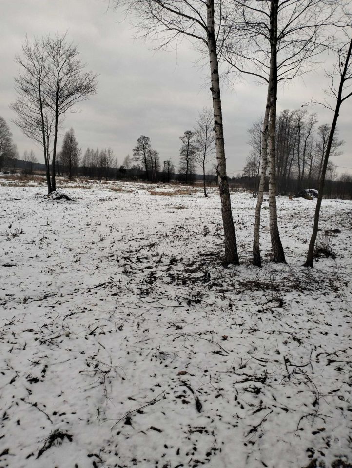 Działka rekreacyjna Podgać. Zdjęcie 7