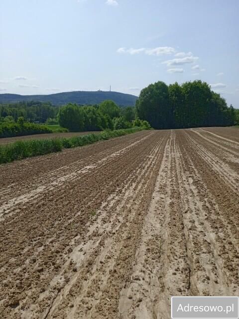 Działka budowlana Stara Słupia. Zdjęcie 3