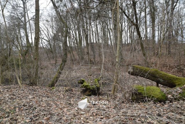 Działka inwestycyjna Lublewo Gdańskie, ul. Szkolna. Zdjęcie 5