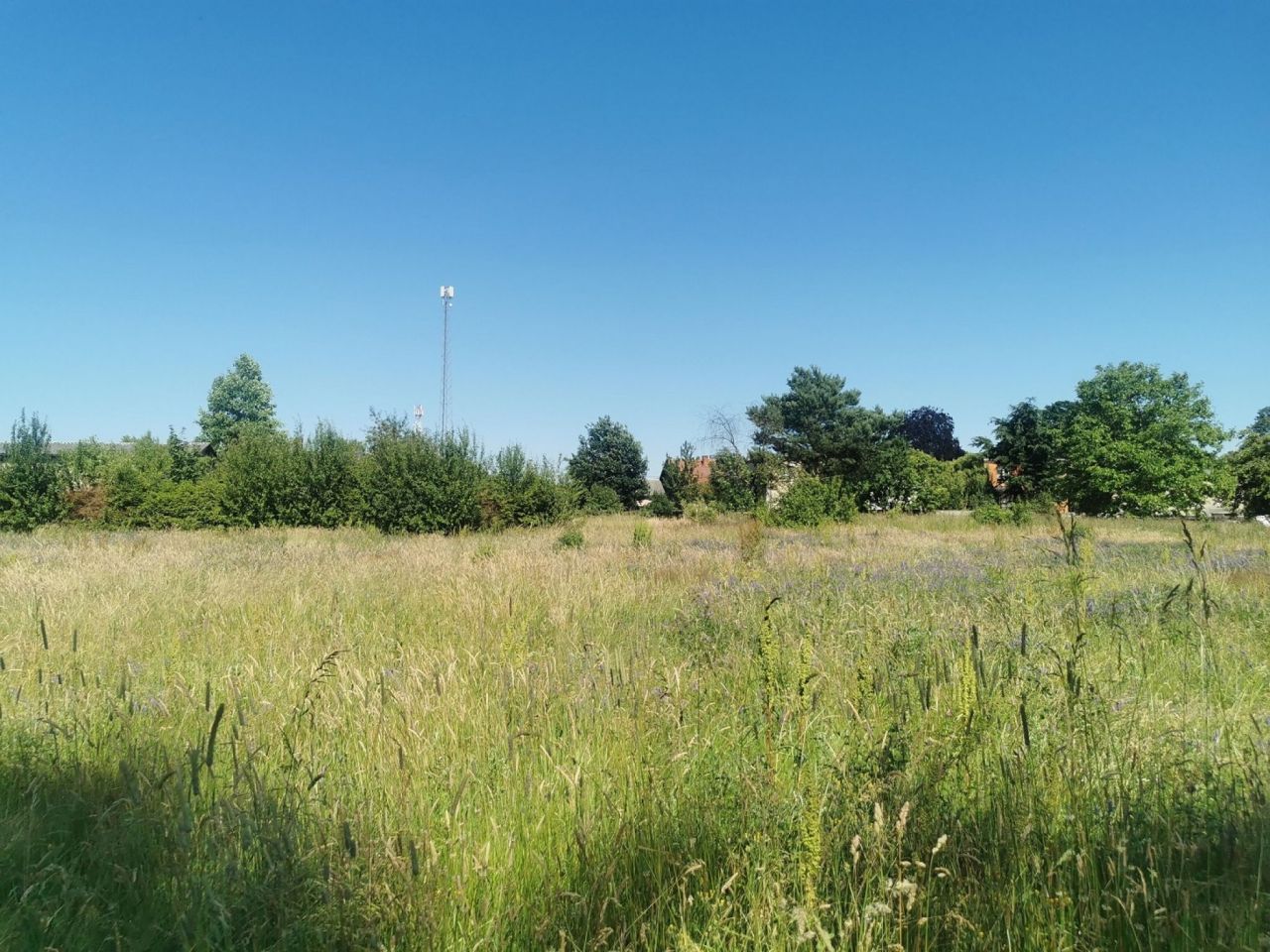 Działka budowlana Lipka. Zdjęcie 16