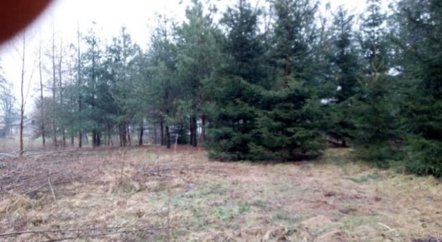 Działka rolno-budowlana Waleriany. Zdjęcie 1