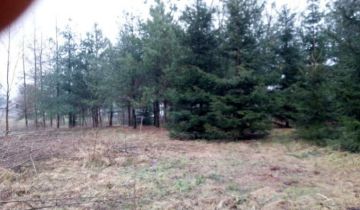 Działka rolno-budowlana Waleriany