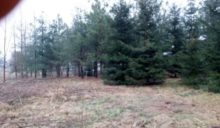 Działka rolno-budowlana Waleriany