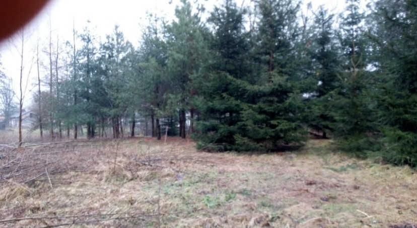 Działka rolno-budowlana Waleriany