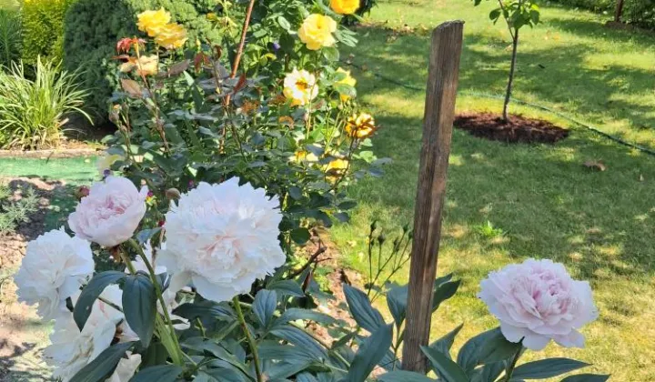 Działka rekreacyjna Mokra Lewa