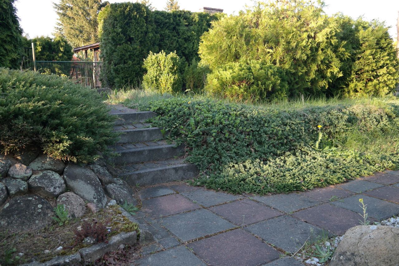 Działka rod Niewodnica Kościelna, ul. Działkowców. Zdjęcie 22