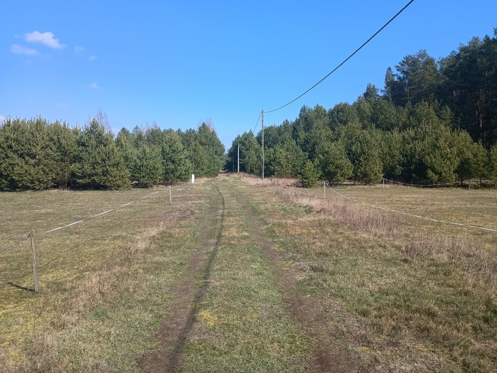 Działka rekreacyjna Mącice. Zdjęcie 2