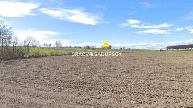Działka rolna Prandocin-Iły. Zdjęcie 10