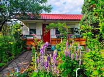 Działka rod Bydgoszcz, ul. Toruńska. Zdjęcie 3