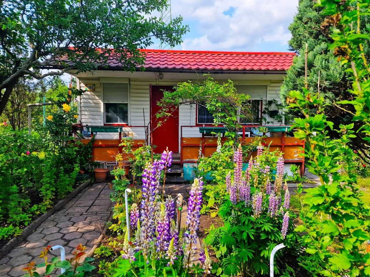 Działka rod Bydgoszcz, ul. Toruńska. Zdjęcie 4