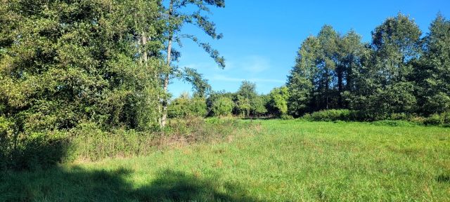 gospodarstwo Głowaczów, ul. Stromiecka. Zdjęcie 16