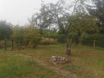 Działka rod Szczecin Gumieńce, ul. Tadeusza Szeligowskiego. Zdjęcie 3