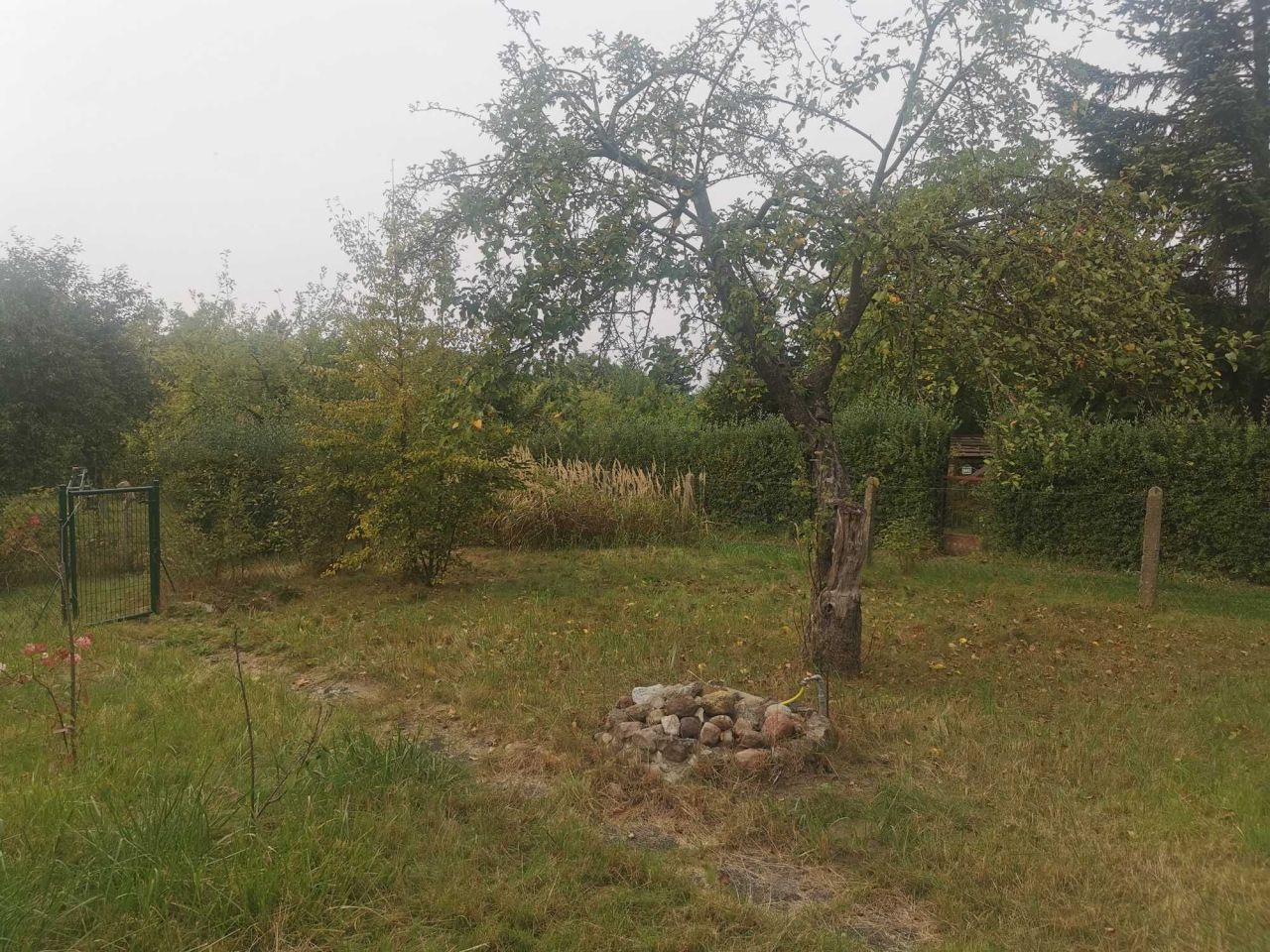 Działka rod Szczecin Gumieńce, ul. Tadeusza Szeligowskiego. Zdjęcie 4