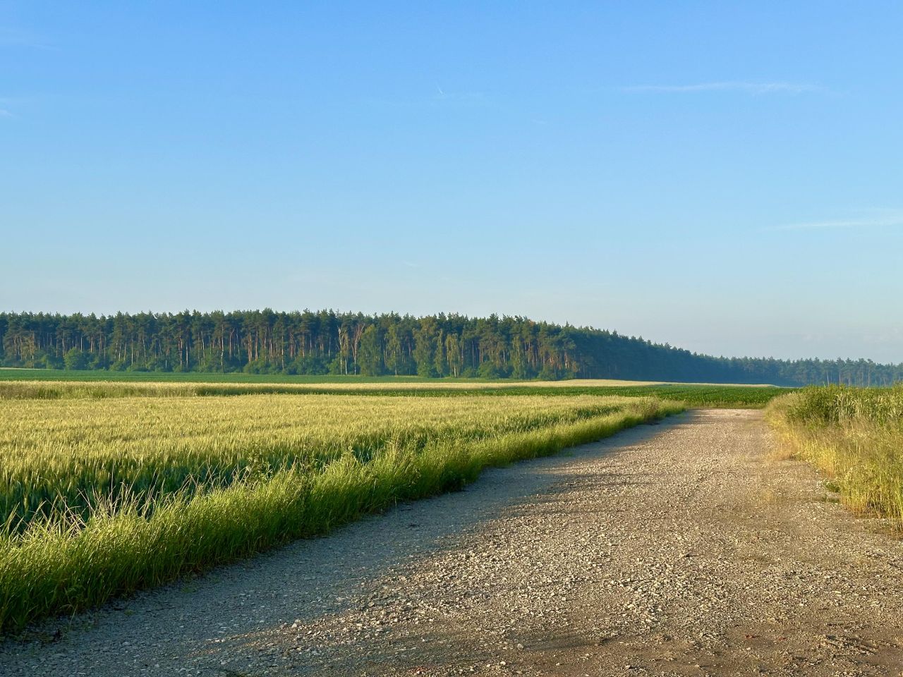 dom wolnostojący, 4 pokoje Nowa Wieś Książęca. Zdjęcie 10