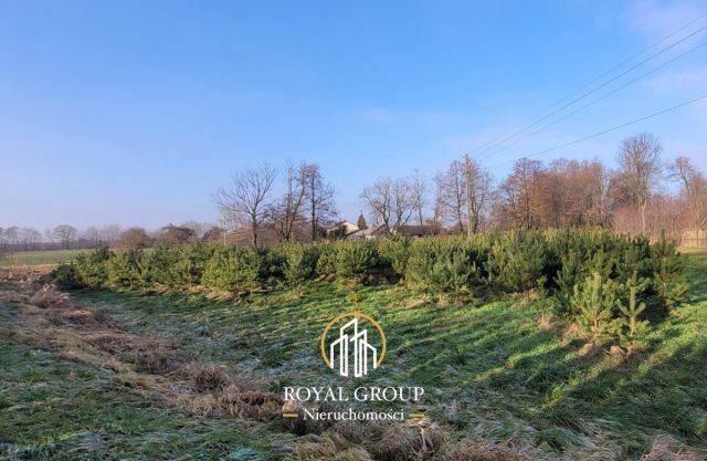 Działka siedliskowa Samoklęski. Zdjęcie 6