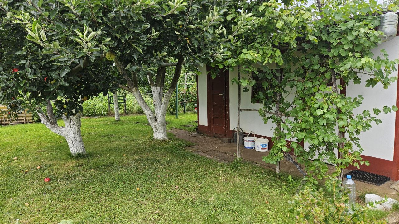 Działka rod Wołów, ul. Spacerowa. Zdjęcie 6