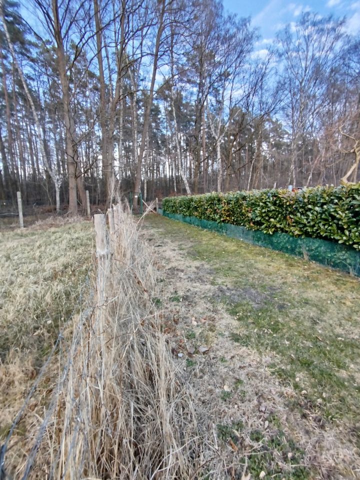 Działka rod Goleniów, ul. Polna. Zdjęcie 13