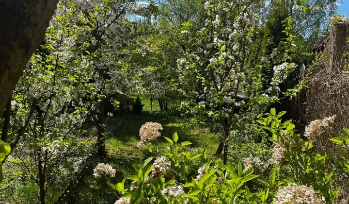 Działka rod Suchy Las