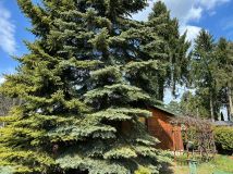 Działka rod Szczaki. Zdjęcie 3