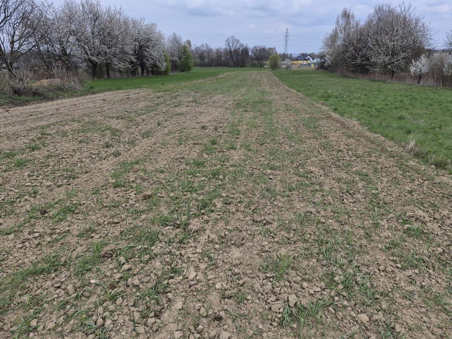 Działka rolno-budowlana Koszyce Małe. Zdjęcie 11