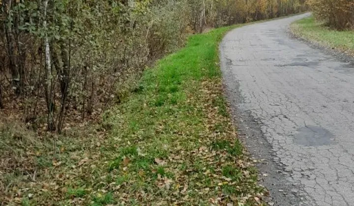 Działka leśna Wólka Nadrybska