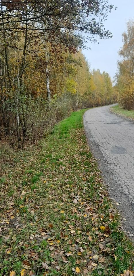 Działka leśna Wólka Nadrybska. Zdjęcie 1
