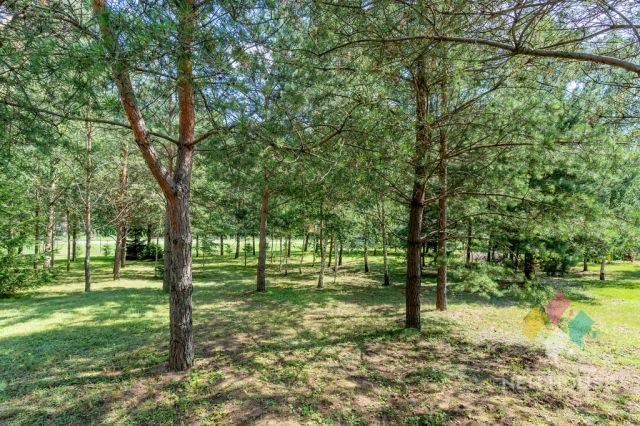 dom wolnostojący, 5 pokoi Pasym, ul. Jana Pawła II. Zdjęcie 17