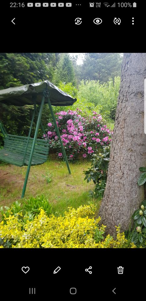 Działka rekreacyjna Łosie, ul. Czyżyka. Zdjęcie 27