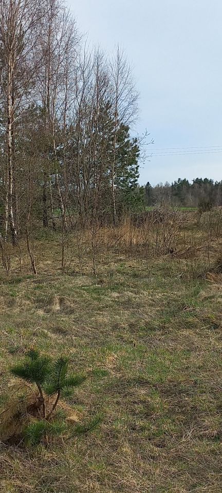 Działka budowlana Łosienice Dąbrowa. Zdjęcie 9