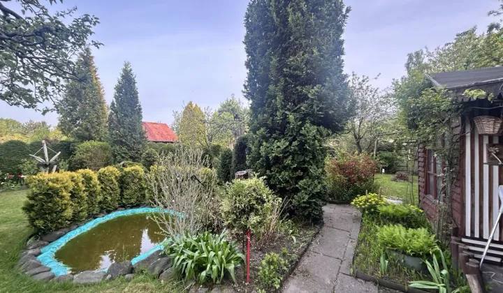 Działka rekreacyjna Mysłowice Brzezinka, ul. Laryska
