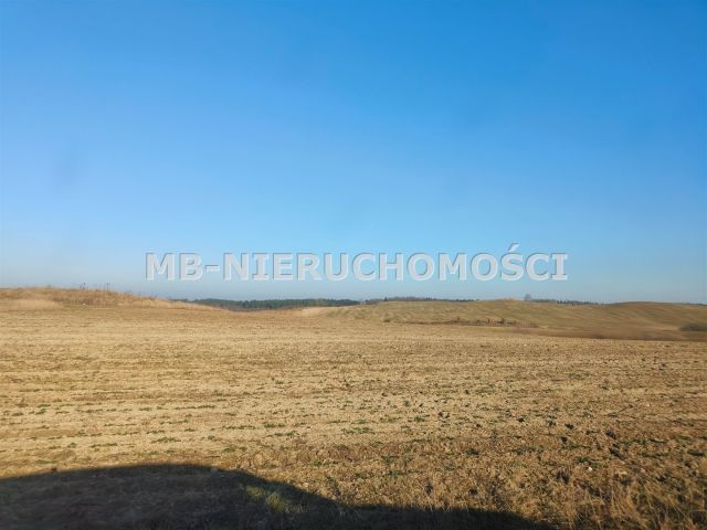 Działka rolna Grabnik. Zdjęcie 9