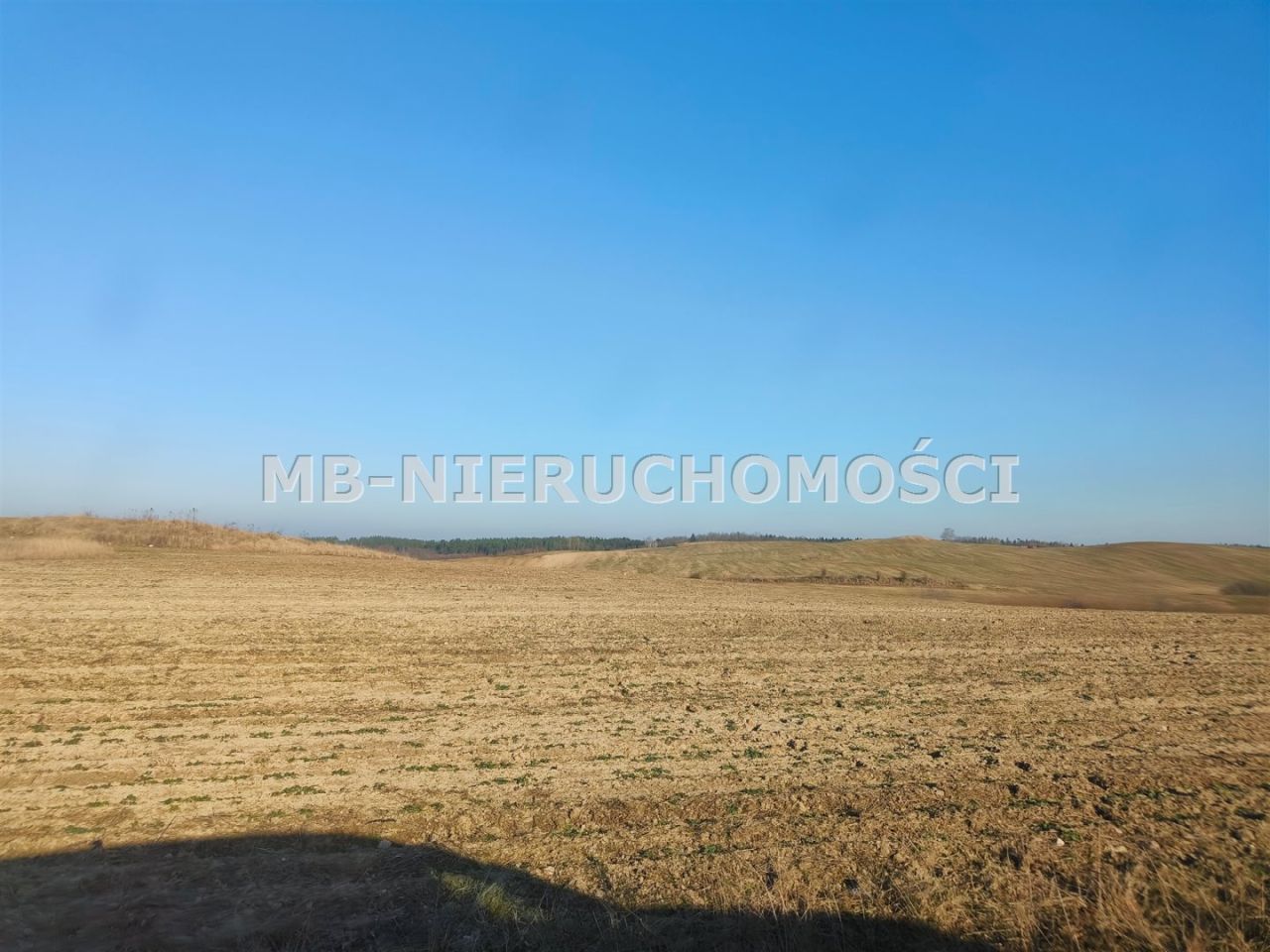 Działka rolna Grabnik. Zdjęcie 9