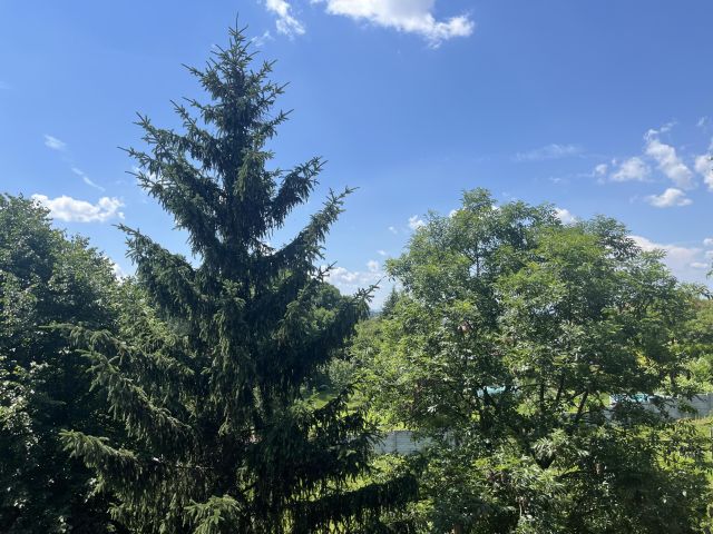 Mieszkanie 2-pokojowe Bogatynia, ul. 3 Maja. Zdjęcie 3