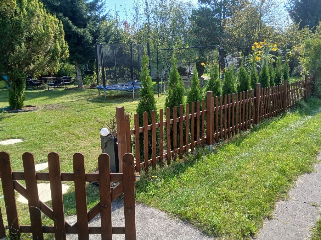 Działka rod Łódź Widzew, ul. Telefoniczna. Zdjęcie 2